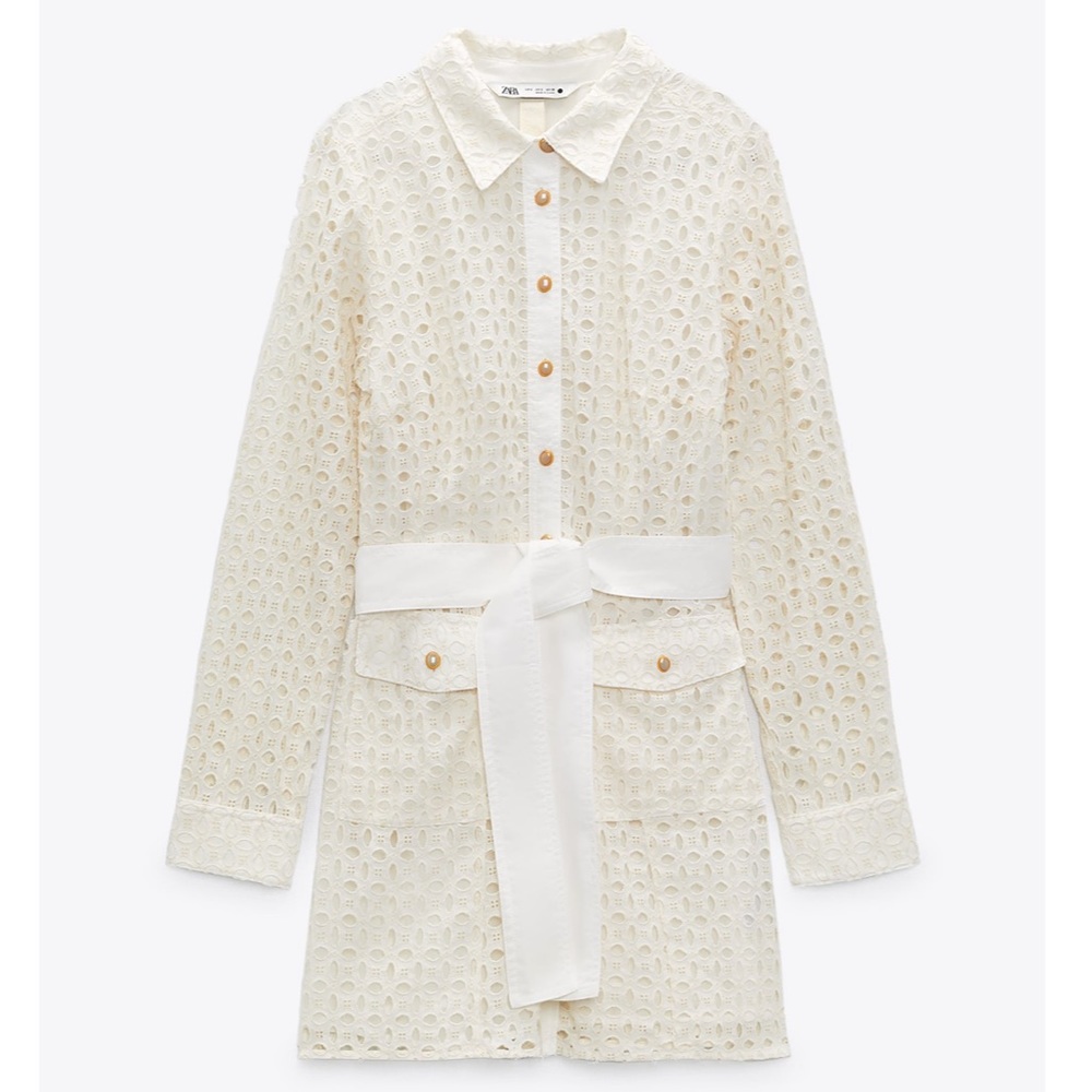 ZARA BNWT Openwork Embroidered Dress with Cuffed Sleeve - Picture 10 of 13